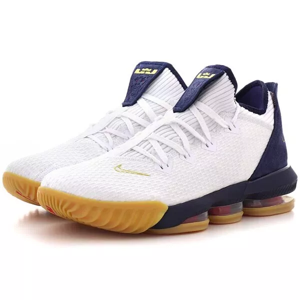 Nike x Lebron XVI Low Size 8 eBay