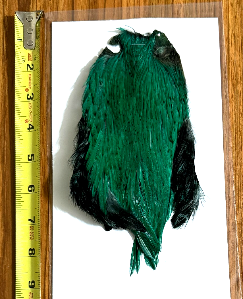 Foto 1 di 2