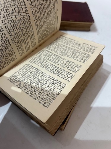 Vintage Antique Old EVERYBODY"S Set OF Books Recipes Doctor Lawyer Hobby Garden - 第 12/15 張圖片