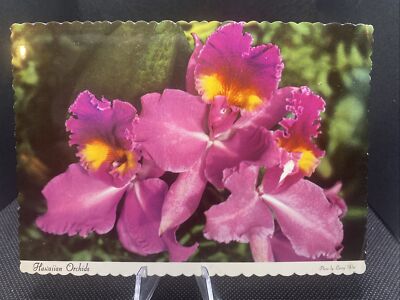 POSTCARD: Hawaiian Orchids Flowers E9￼