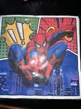 Spider Man Themed Birthday Party Decoration Supplies Superhero Banner Paper Tray