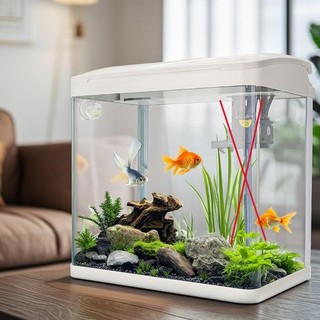 Fish Tank For Auction Glass 17L White 30 x 32 x 19.5cm