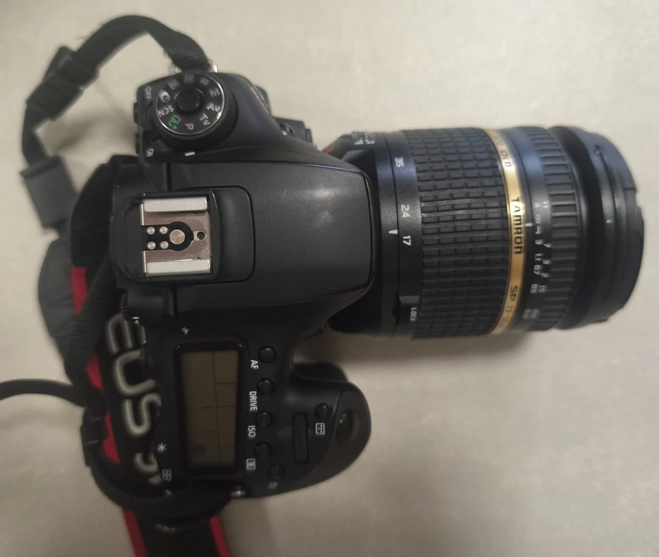 Canon EOS 90D, foto 2 di 5
