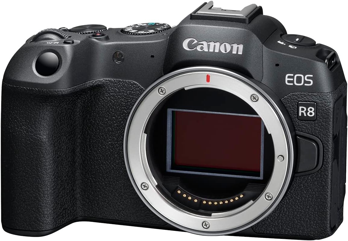 【美品】CANON EOS R Amazon.com : Canon EOS R Mirrorless Digital Camera (Body Only