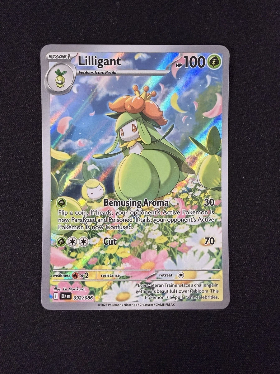 places with pokemon cards near me Pokemon Mega Evolution Phantasmal Flames Booster Box  Trading Card Market
