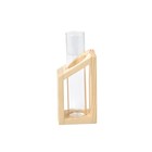 Test Tube Flower Vase on Wooden Stand Artistic Planter for Hydroponic Plant