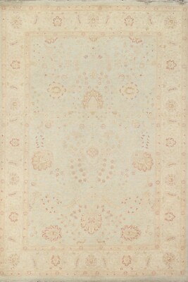 Muted Vegetable Dye Chobi-Peshawar Oriental Area Rug Hand-knotted 6'x8' Carpet