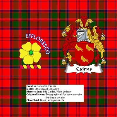 Scottish Clan Crest Cairns Rock Slate 14cm x 14cm Top Qualität Schiefer