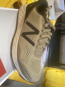fresh foam gobi v2