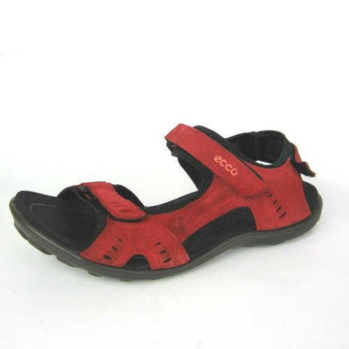 ecco receptor review