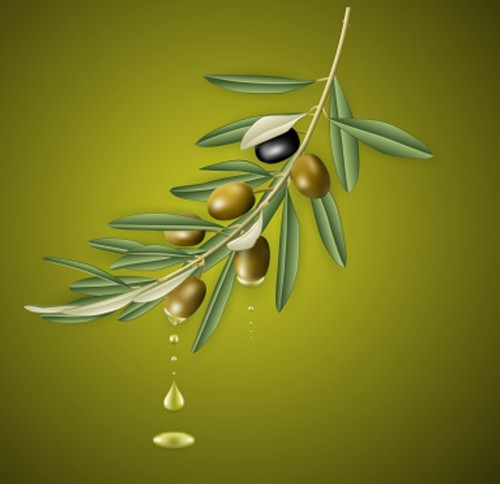 Spanish Extra Virgin Olive Oil, Cold Pressed and Unfiltered 1 litre - Picture 3 of 6