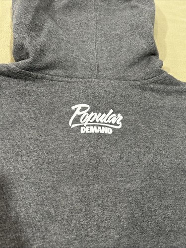 Popular Demand Herren Hoodie Sweatshirt grau Flugzeug Airlines Medium neu mit Etikett - Bild 9 von 9