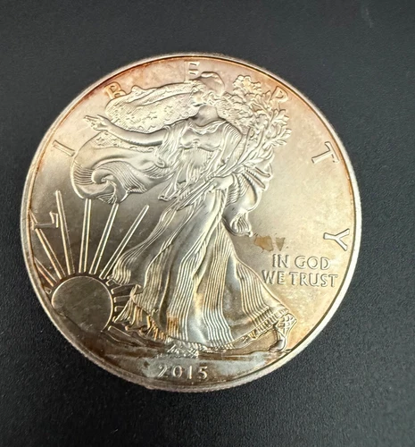 2015 American Silver Eagle 1 Troy Oz. .999 Fine Silver One Dollar Coin