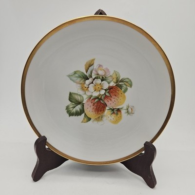 Vintage Hutschenreuther Selb Pasco Fruit Salad Plate Strawberry Design
