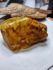 Sehr großer unbehandelter Bernsteinbrocken-teilweise Butterscotch-ca.164,5 gramm