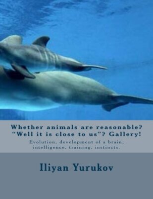 Whether animals are reasonable? ''Well it is close to us''? Gallery!: Evolution-,