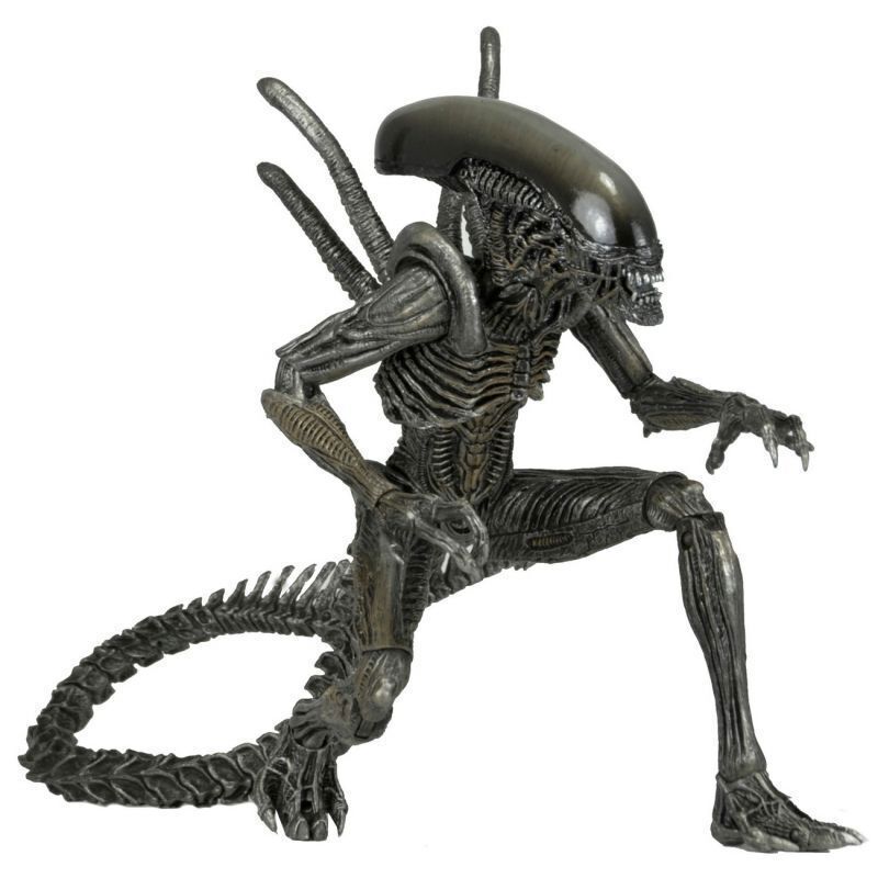 NECA ウォーリアー エイリアン(AVP ver) (新品未開封) NECA ウォーリアー エイリアン(AVP ver) (新品未開封)