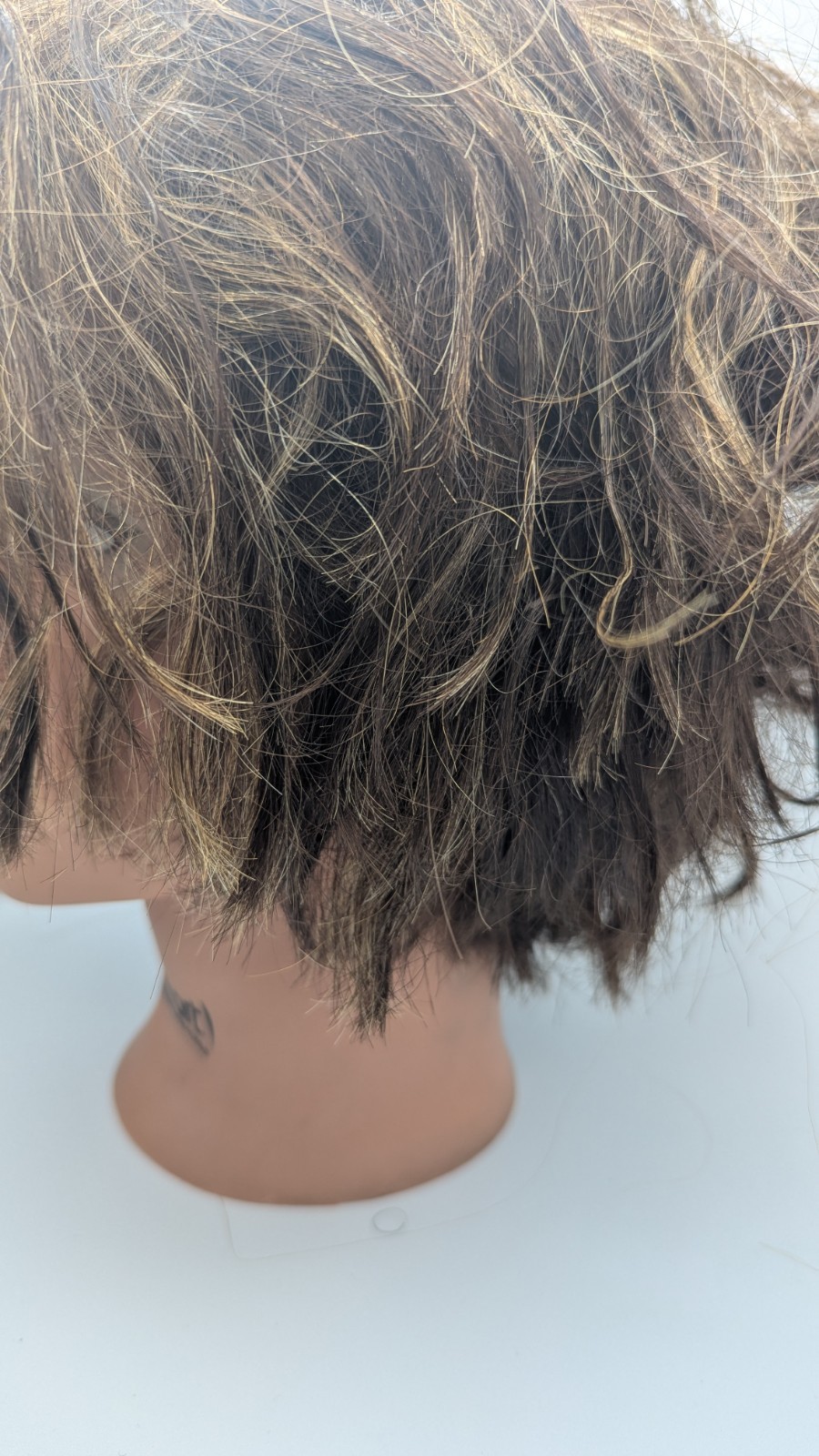 Hairart Cosmetology Mannequin Head, Human Hair