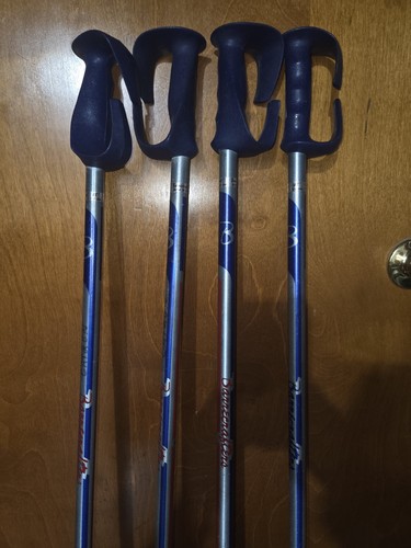 Vintage Barrecrafters Ski Poles 48" Blue White Pistol Grip Snowflake Baskets 