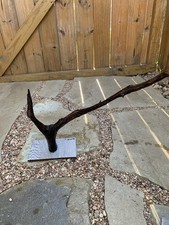 Natural Driftwood For Aquarium/Terrarium/Arts, And Crafts