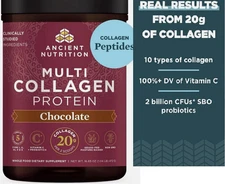 Chocolate EXP 2028 Ancient Nutrition Multi Collagen Protein Powder -16.65 oz