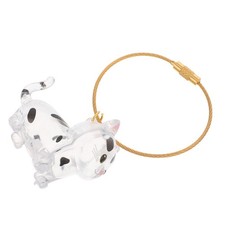 Pet Keepsake Box Hair Memorial Cat Storage Tie Container Organizer