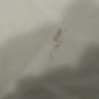 Foto 2 di 7