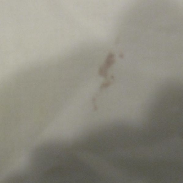 Picture 2 of 7
