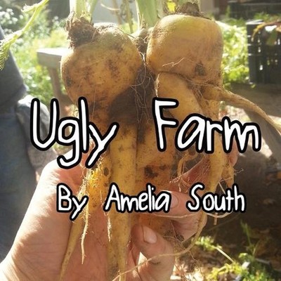 Ugly Farm by Amelia South Paperback Book