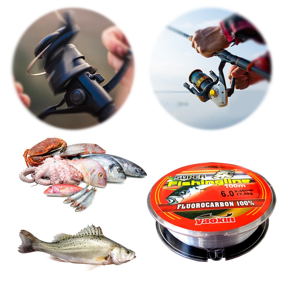 HOT 100M Nylon Super Strong Nylon Line 5.19.9Kg Carp Fly Fishing Line