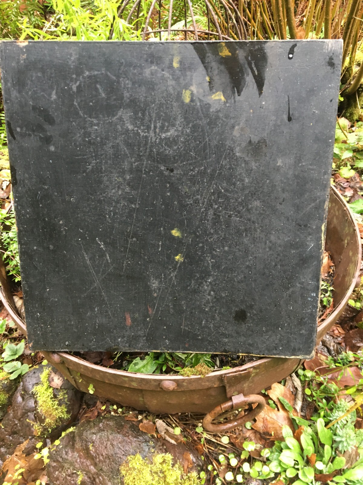 Bild 15 von 23