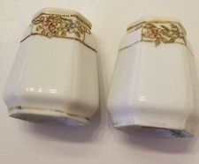 Ceramic & Porcelain White Collectible Salt & Pepper Shakers 1900