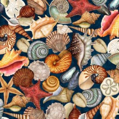 Endless Blues 1/2 Yard Increments (30045-Q Seashells Teal) QT Fabrics