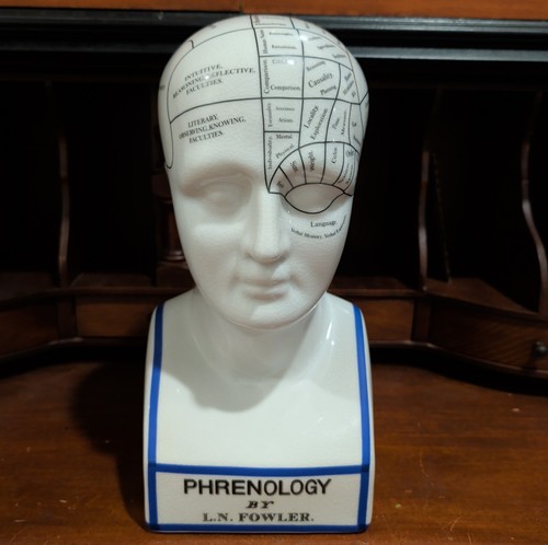 L.N. Fowler Phrenology Ceramic Head Bust Sculpture White w/ Blue Trim