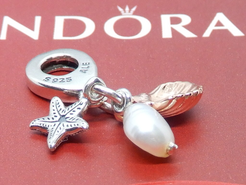 PANDORA Shellie May シルバーチャーム $_57.JPG?set_id=880000500F