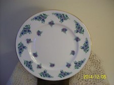  Forget-Get-Me-Not Vintage Fine English Bone China Buffet Plate Royal Victoria