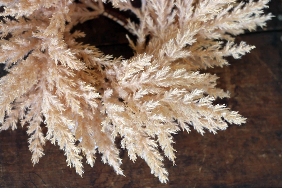 Anillo Vela Pilar Pampa Hierba Artificial Floral Beige Neutro Decoración 3.5 pulgadas Foto 4 de 4