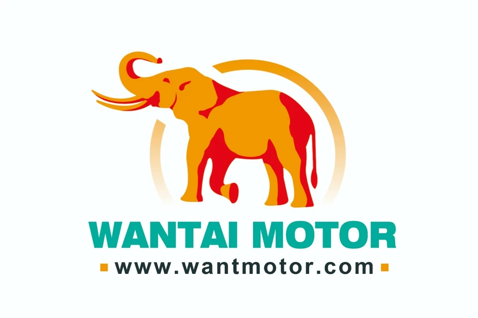 Wantai One Axis Nema 42 Stepper Motor 4200oz&Driver,220V,CNC Engrave,Mill Plasma - Image 4 of 4