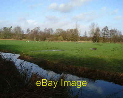 Foto 6x4 Barton Stacey - Fluss Dever Schwäne und Gänse grasen in einer Überflutete c2008