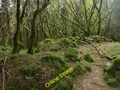 Photo 12x8 Ruined walls - Glenmacinnive Meenadeeny Remains of a dwelling w c2012