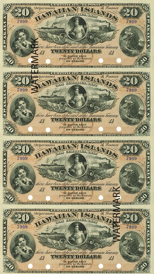 Juego de billetes de plata de las islas hawaianas de Hawái de $5 a $500 hojas completas HI REPRO Foto 4 de 4