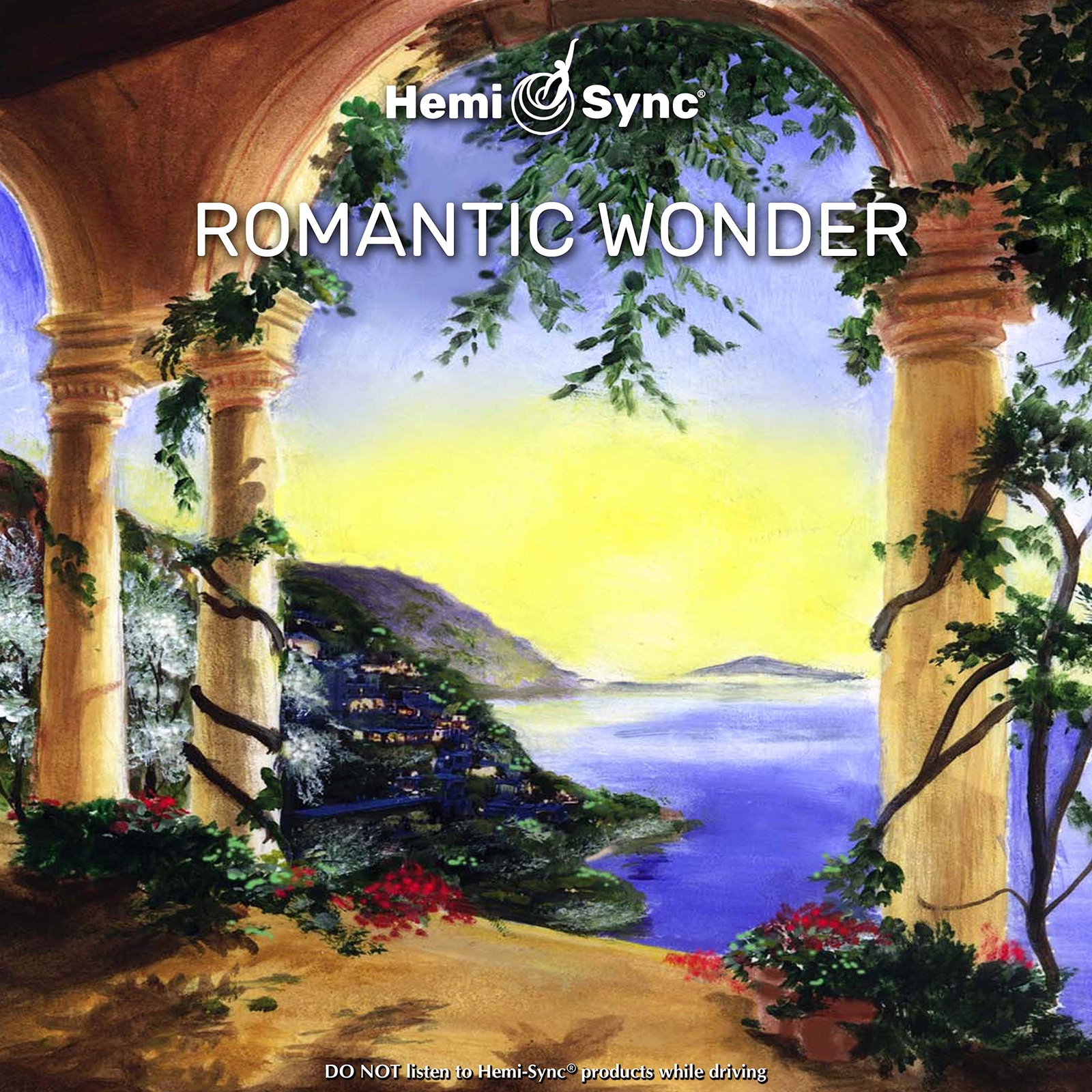 Selke, Ilona Romantic Wonder (CD)