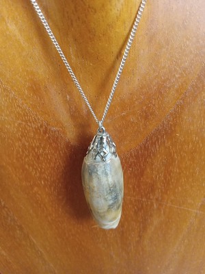 Vintage Speidel Sterling Silber Kette, Olive Muschel Halskette Nautical Vibes  