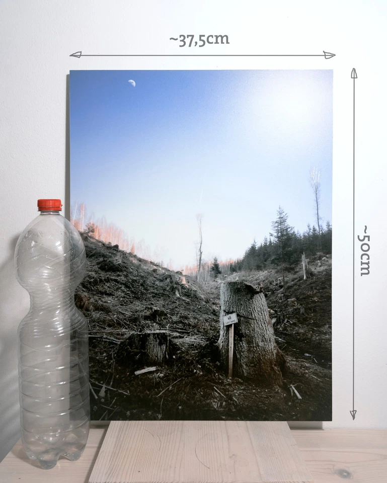 Großformatiges Foto auf Dibond a. Ausstellung, Landschaft, Architektur, abstrakt - Bild 2 von 4