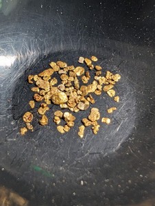0.100 Gram Calif. High Purity Raw Placer Gold From The Beautiful Yuba River. 