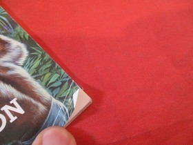 Crystalis Nintendo NES Instruction Manual Booklet ONLY