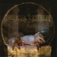 The Dead Walk (Limited Edition) | The Acacia Strain | Vinyl / Schallplatte