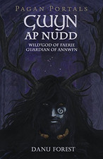 Pagan Portals - Gwyn ap Nudd: Wild God of Faery,