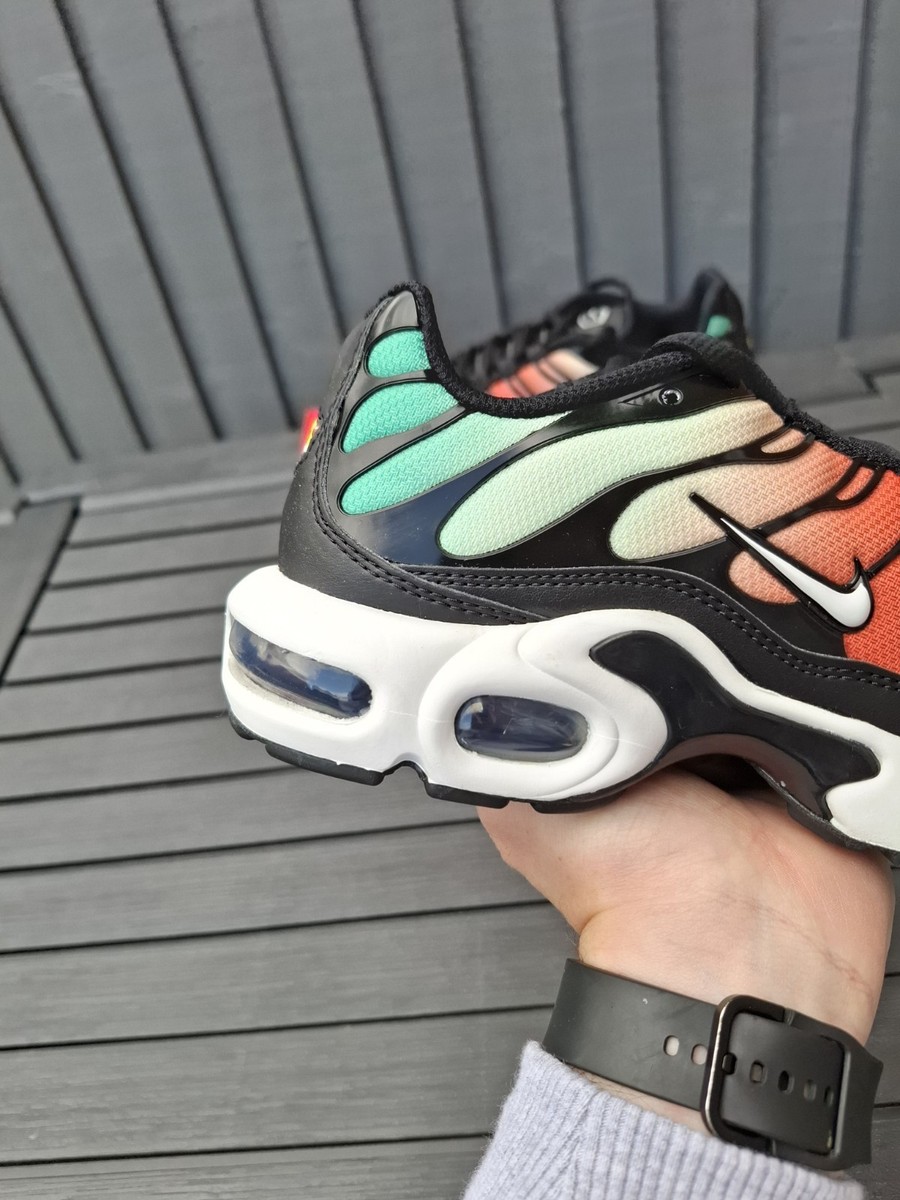 nike air max plus tn rainbow