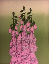 Vintage Foxglove Limited Edition Screen Print 1974